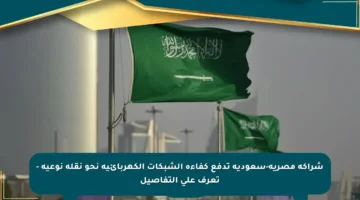 شراكة مصرية-سعودية تدفع كفاءة الشبكات الكهربائية نحو نقلة نوعية – تعرف على التفاصيل